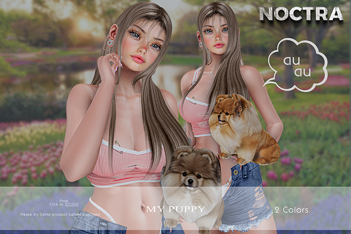 NOCTRA - My Puppy Fatpack