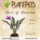 Plantpets Bird of Paradise *Pink Robin* Texture 