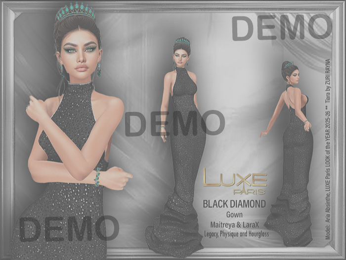 LUXE Paris DEMO BLACK DIAMOND Gown