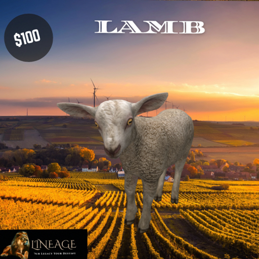 Lineage Lamb