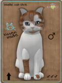 KittyCatS Box - Genesis - Flame IV Male