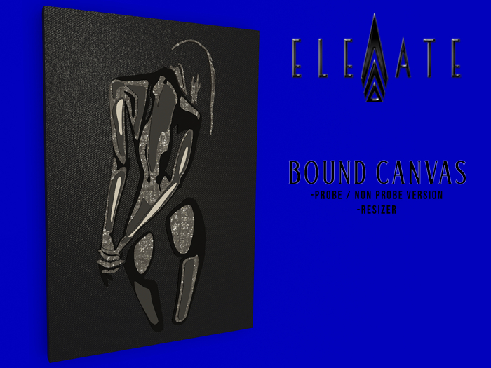 ELEVATE - BOUND CANVAS - PBR