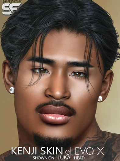 :::: SF KENJI . SKIN . ROUGE   ::::