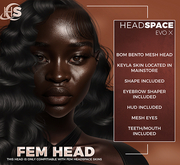 [HEADSPACE] Fem Evox Head 1.0 [Unpacker]