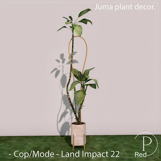 P.ReD. Juma plant decor - Box