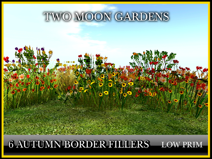 Autumn Flowers Border