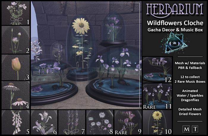Herbarium Wildflowers Cloche // CM Fatpack
