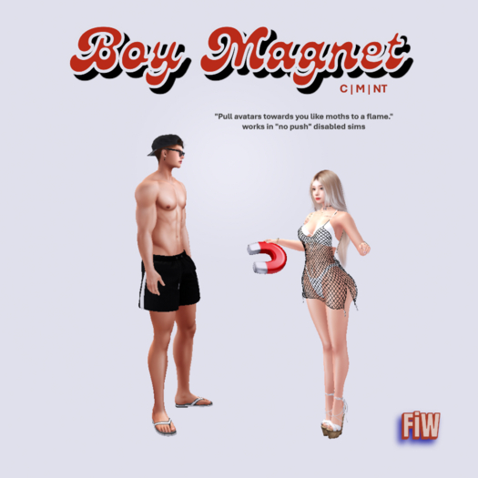 FiW Boy Magnet