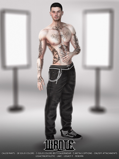 VIROTE - Caleb Pants - Fatpack