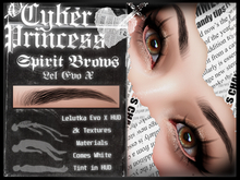 Cyber Princess. Spirit Brows 2k (Lel Evo X)