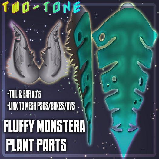 FLUFFY MONSTERA PLANT PARTS