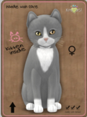 KittyCatS Box - Chateau Cat - Silver & White No. 1 Female
