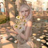 :KR: Whimsy Shape & Style Card Lelutka Camila + Legacy