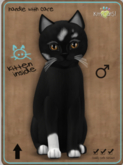 KittyCatS Box - Genesis - Domino III Male