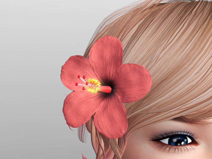 Hibiscus accessory V.1.2.0