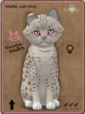KittyCatS Box - Ocicat - Lavender Female