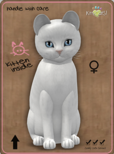 KittyCatS Box - Russian - White Female
