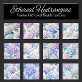 *Wallflowers* Ethereal Hydrangeas