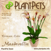 PlantPet Seed [Masdevallia *Crimson Echo*]