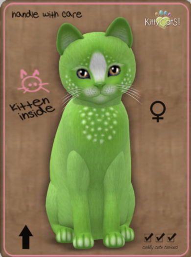 KittyCatS Box - Confetti - LimeBerry Female Teacup