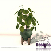 Serendipity Designs - Moosehead Lake Planter 1