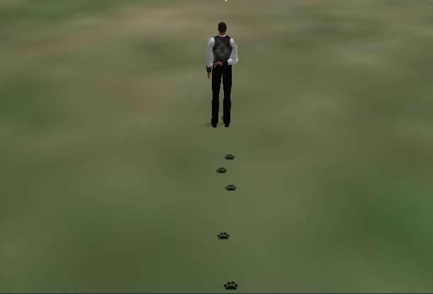 Black Kitten Paw Prints