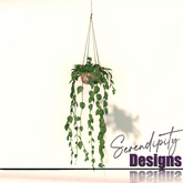 Serendipity Designs - Moosehead Lake Hanging Planter