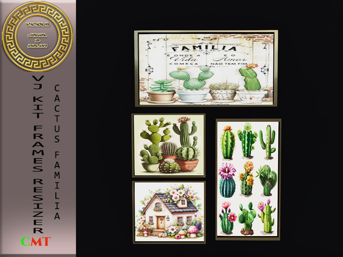 VJ KIT FRAMES RESIZER CACTUS FAMILIA