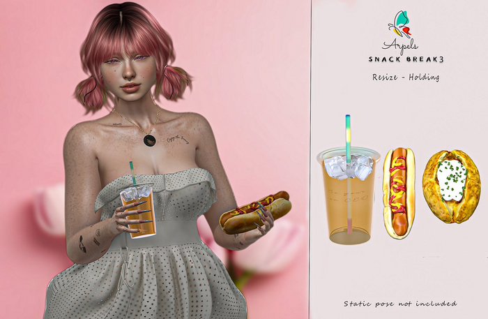 AP SNAK BREAK 3