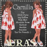 *Aura's* Carnilia Outfit for Little Girls, Kids and Tiny Tot