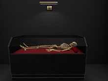 :DH: Skeleton on Display ~Halloween~