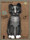 KittyCatS Box - Genesis - Smokey IV Male