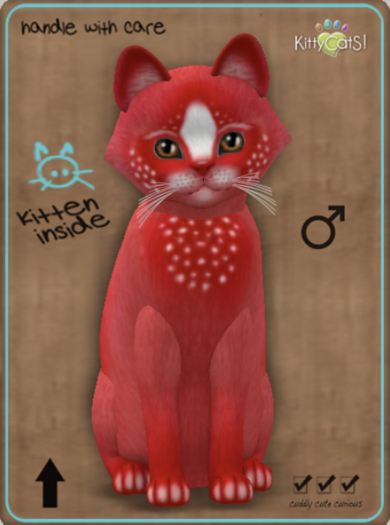 KittyCatS Box - Confetti - CherryBerry Male