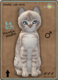 KittyCatS Box - Australian Mist - Lilac Marble Male