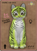 KittyCatS Box - Tiger! - Chartreuse Female