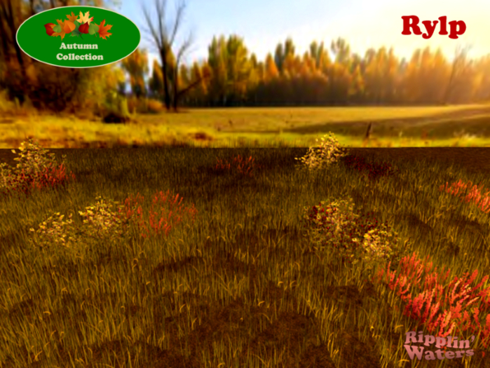 RW - Autumn Fall Grassy Ground Cover berries *Rylp* c/m