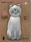 KittyCatS Box - Balinese - Lilac Lynx Female