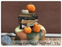 Autumn Pumpkin a Good Read By Snuggles
