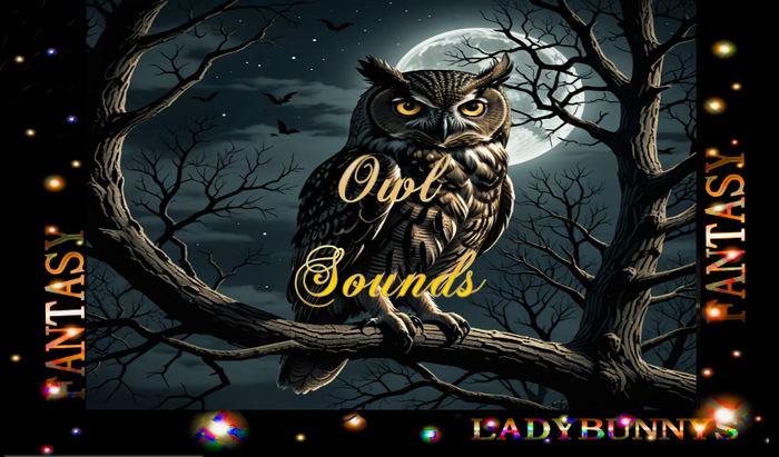 Bunny's Sounds-Owls
