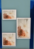 :: HANGING ART :: 3 Piece Set ( Creame Flowers)