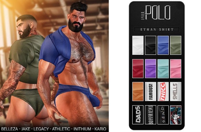 POLO PAUL - ETHAN SHIRT - DEMO