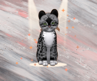 KittyCatS Box - 2T F Genesis Bandit II Genesis Meadow
