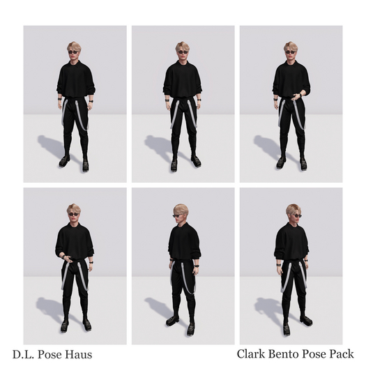 ! D.L. Pose Haus Clark Bento Pose Pack
