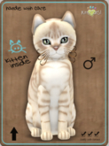 KittyCatS Box - Australian Mist - Fawn Male