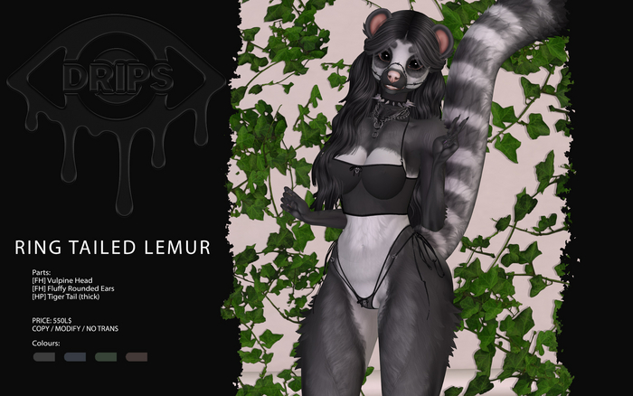 [ DRIPS ] Ring Tailed Lemur