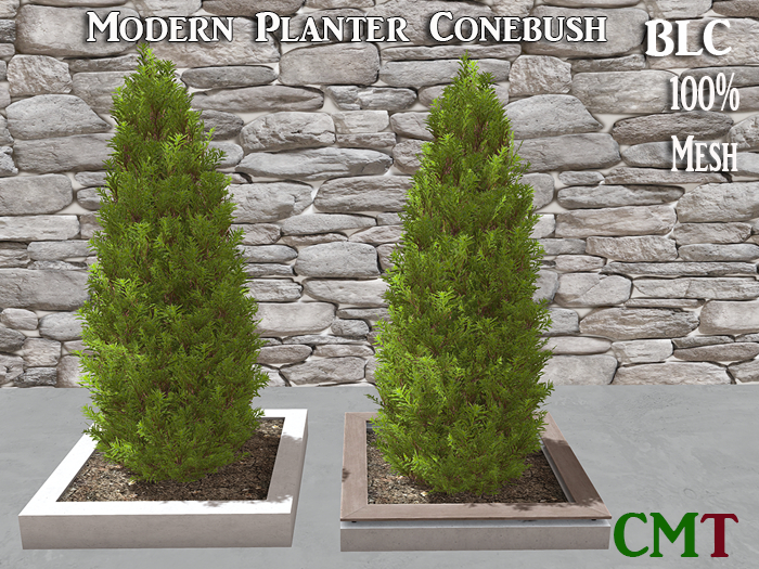 BLC Modern Planter Cone Bush