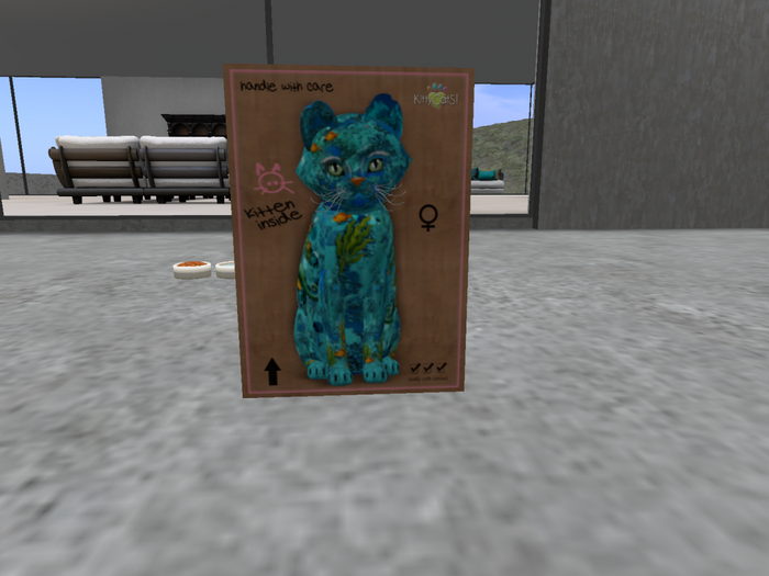 KittyCatS Box - New Born Kitten