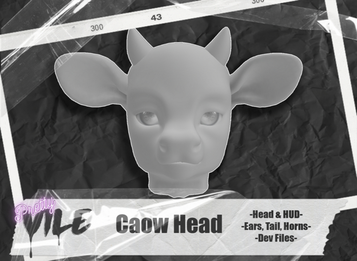 . prettyV . Caow Head BOXED