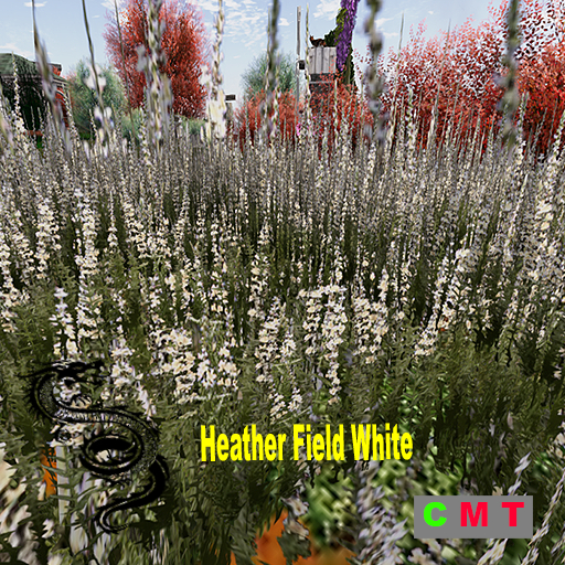 Heather Field White
