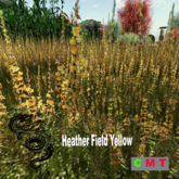 Heather Field Yellow